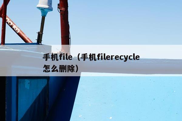 手机file（手机filerecycle怎么删除）