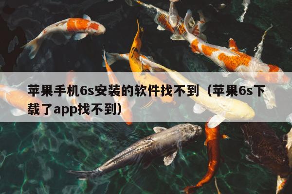 苹果手机6s安装的软件找不到（苹果6s下载了app找不到）