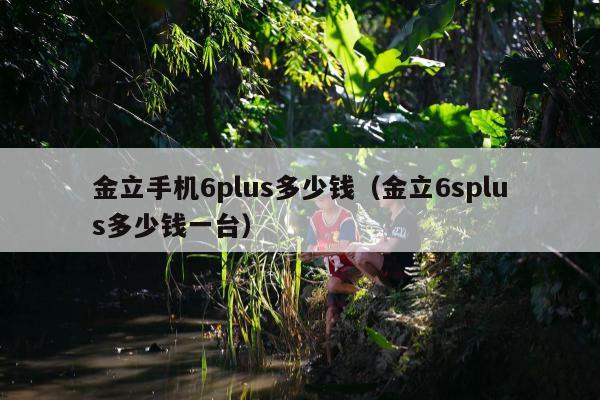 金立手机6plus多少钱（金立6splus多少钱一台）