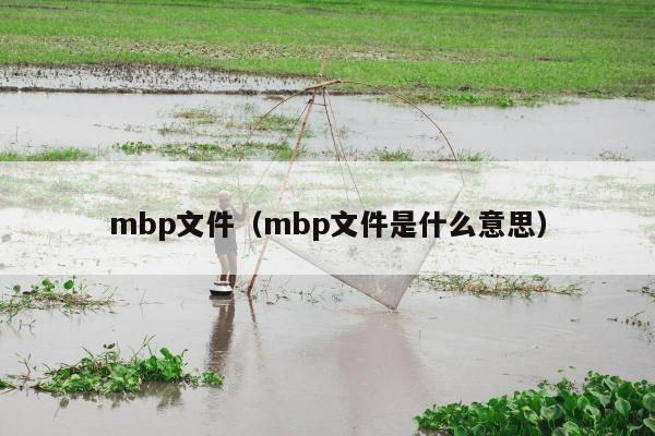 mbp文件（mbp文件是什么意思）