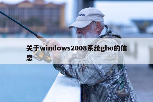 关于windows2008系统gho的信息