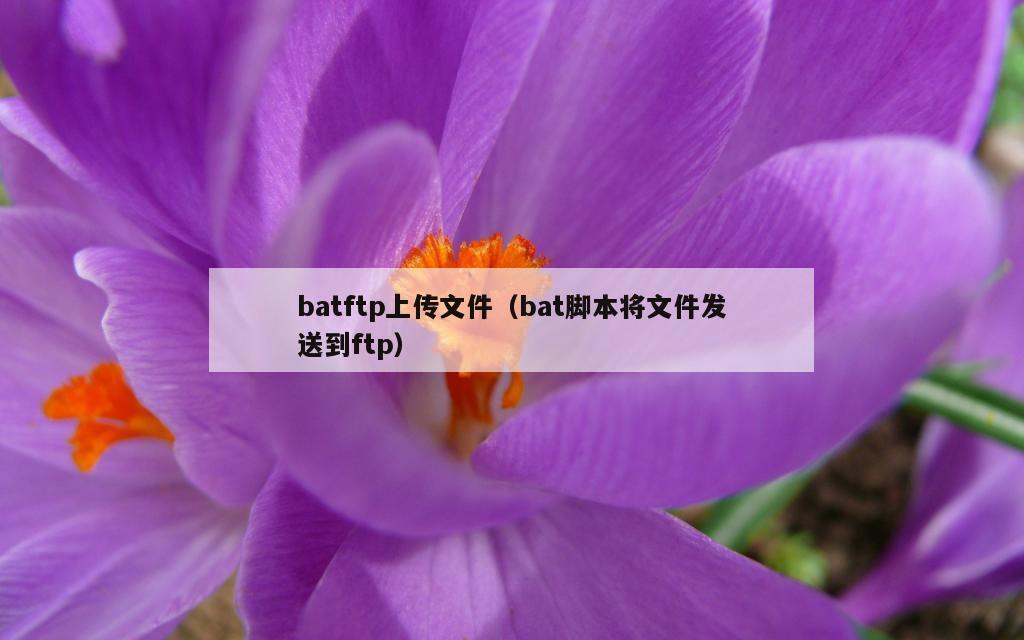 batftp上传文件（bat脚本将文件发送到ftp）