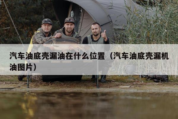 汽车油底壳漏油在什么位置（汽车油底壳漏机油图片）