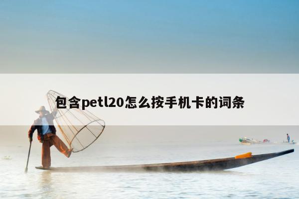 包含petl20怎么按手机卡的词条