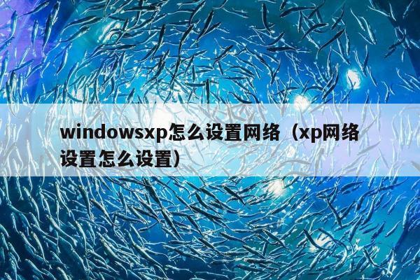 windowsxp怎么设置网络（xp网络设置怎么设置）