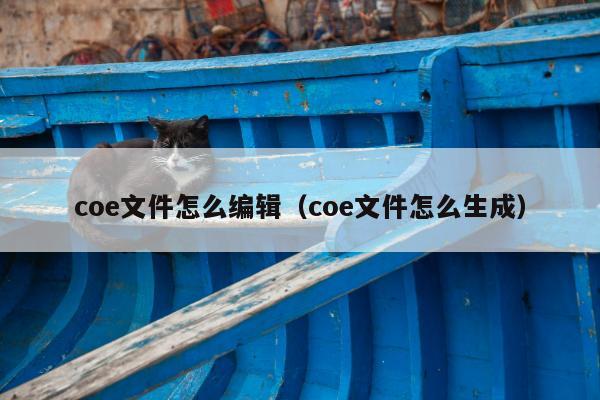 coe文件怎么编辑（coe文件怎么生成）