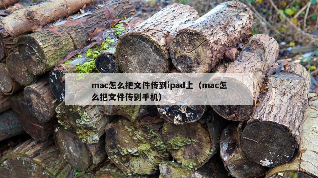 mac怎么把文件传到ipad上（mac怎么把文件传到手机）