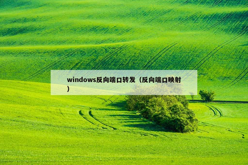 windows反向端口转发（反向端口映射）