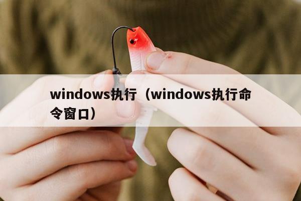 windows执行（windows执行命令窗口）