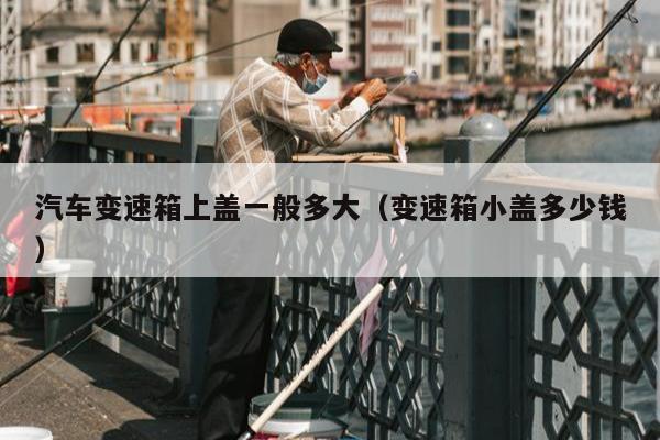 汽车变速箱上盖一般多大（变速箱小盖多少钱）