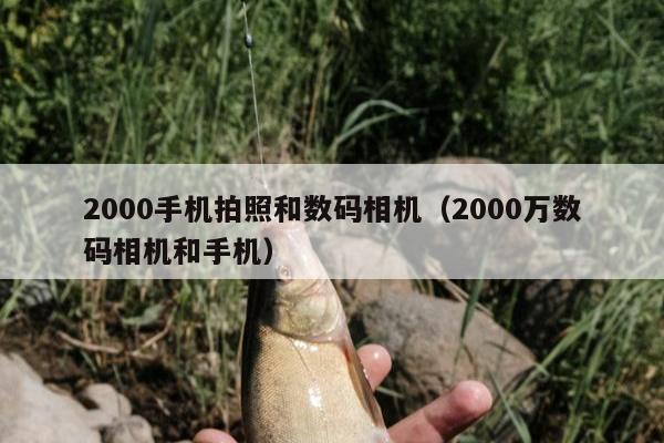 2000手机拍照和数码相机（2000万数码相机和手机）