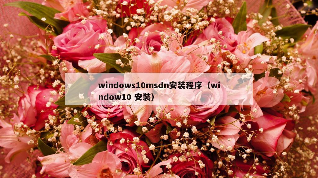 windows10msdn安装程序（window10 安装）