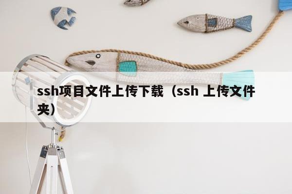 ssh项目文件上传下载（ssh 上传文件夹）