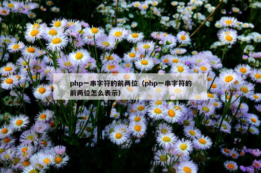 php一串字符的前两位（php一串字符的前两位怎么表示）