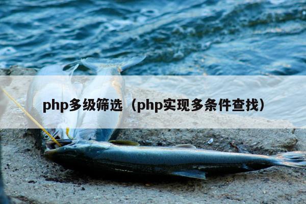 php多级筛选（php实现多条件查找）