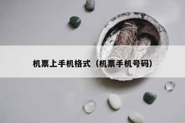 机票上手机格式（机票手机号码）