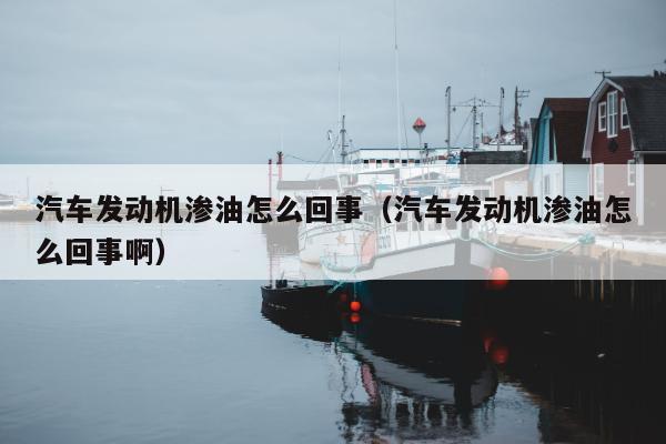 汽车发动机渗油怎么回事（汽车发动机渗油怎么回事啊）