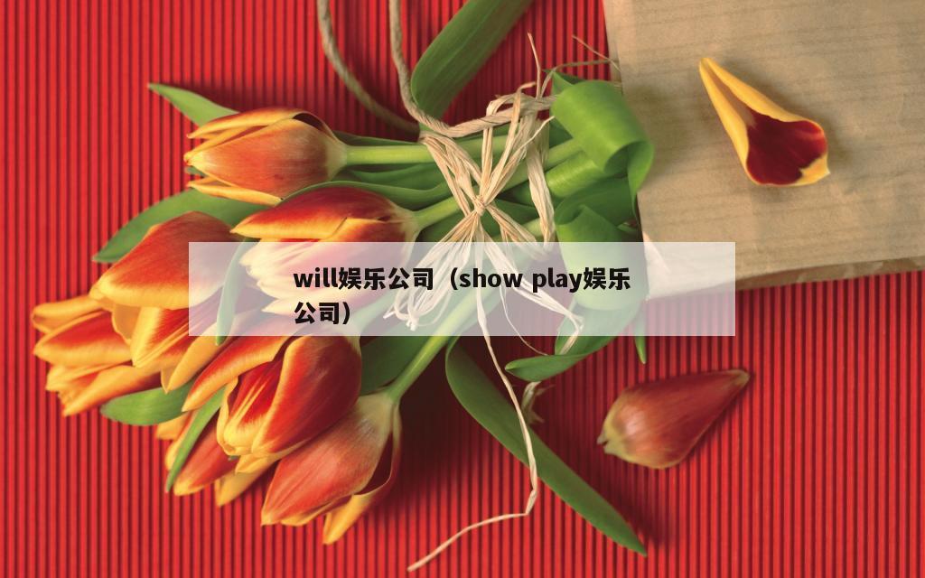 will娱乐公司（show play娱乐公司）