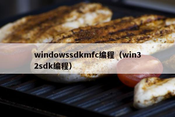 windowssdkmfc编程（win32sdk编程）