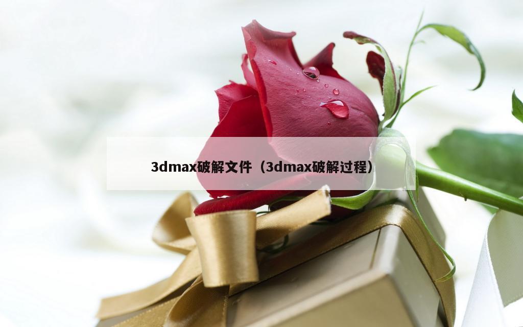 3dmax破解文件（3dmax破解过程）