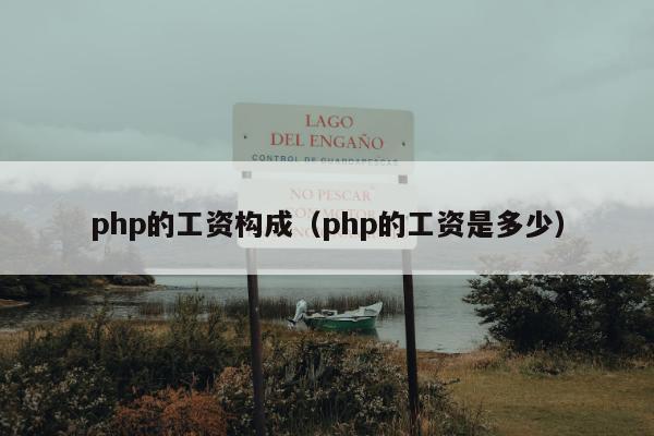 php的工资构成（php的工资是多少）