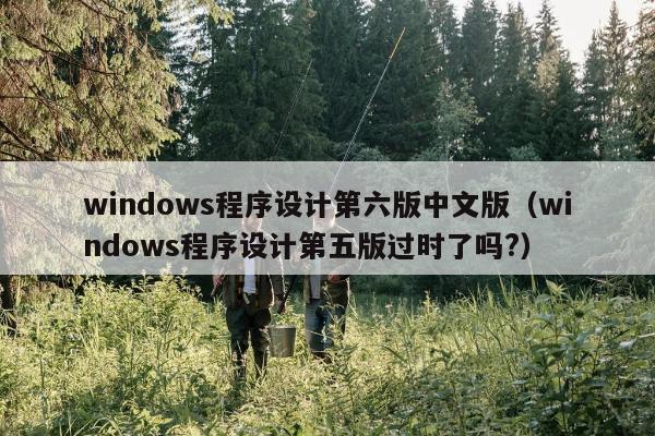 windows程序设计第六版中文版（windows程序设计第五版过时了吗?）