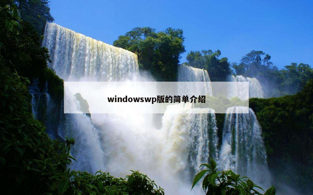 windowswp版的简单介绍