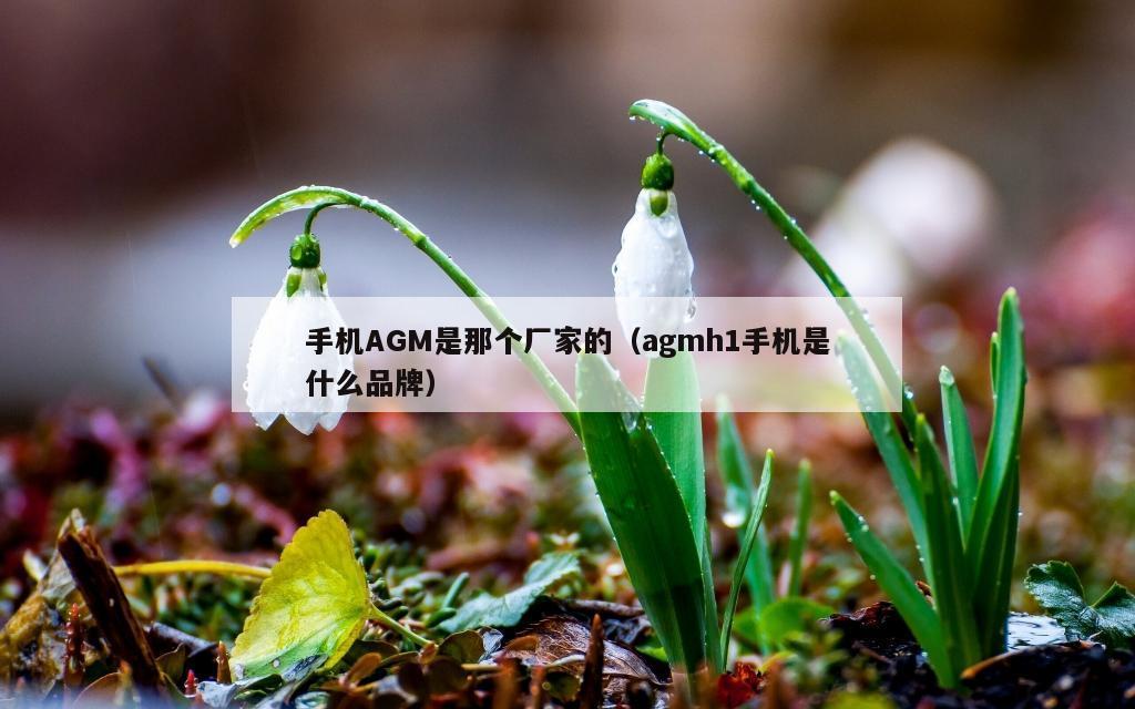 手机AGM是那个厂家的（agmh1手机是什么品牌）