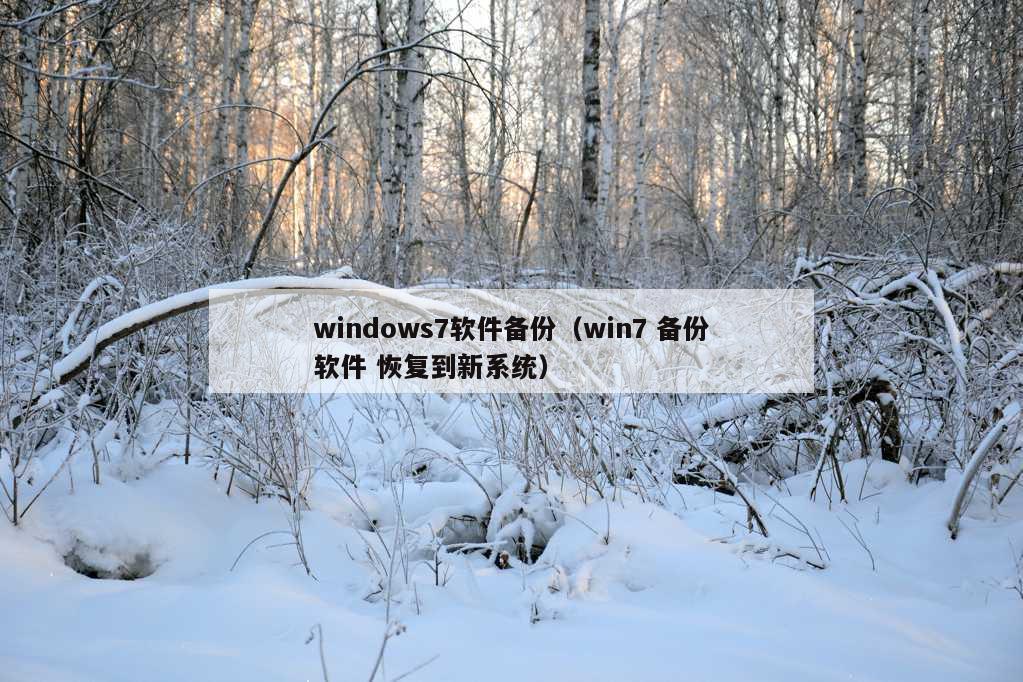 windows7软件备份（win7 备份软件 恢复到新系统）