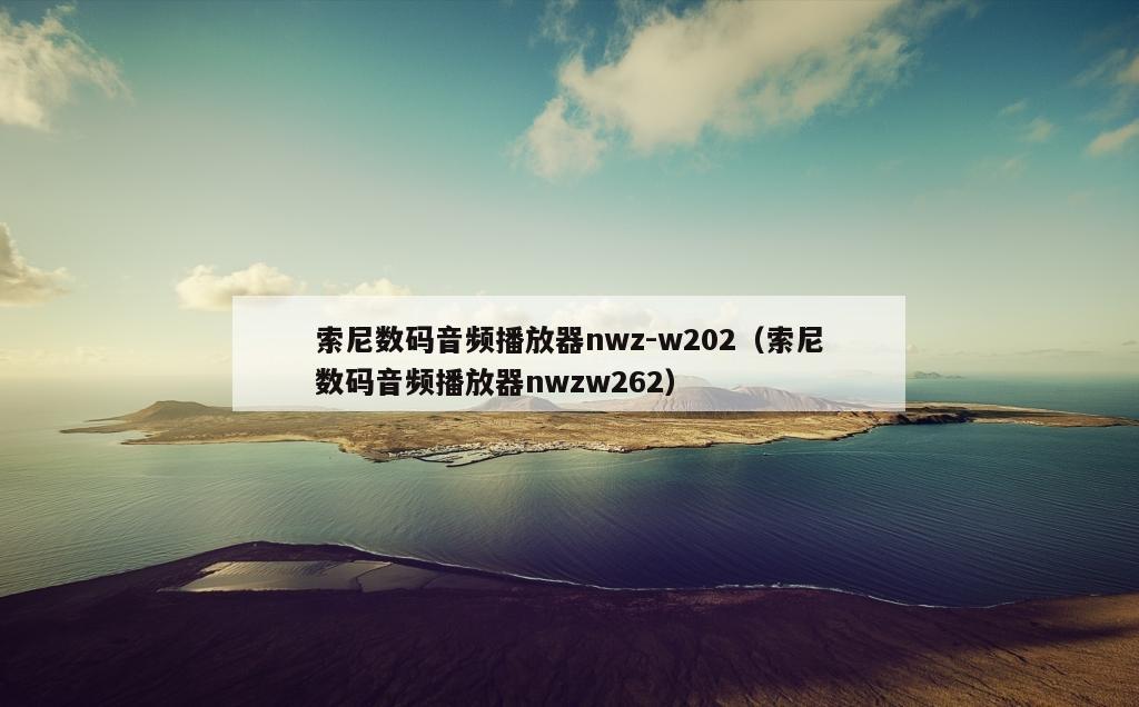 索尼数码音频播放器nwz-w202（索尼数码音频播放器nwzw262）