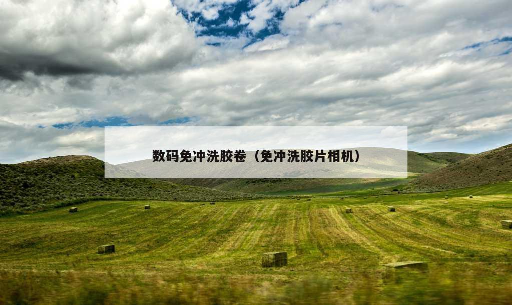 数码免冲洗胶卷（免冲洗胶片相机）