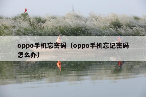 oppo手机忘密码（oppo手机忘记密码怎么办）