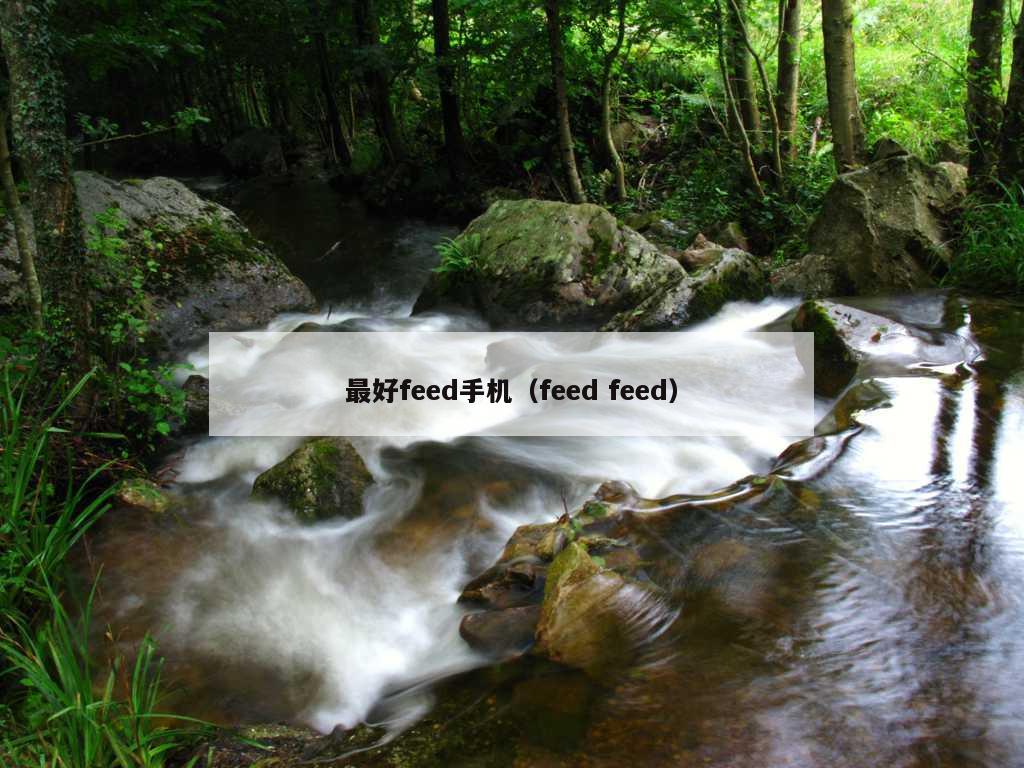 最好feed手机（feed feed）