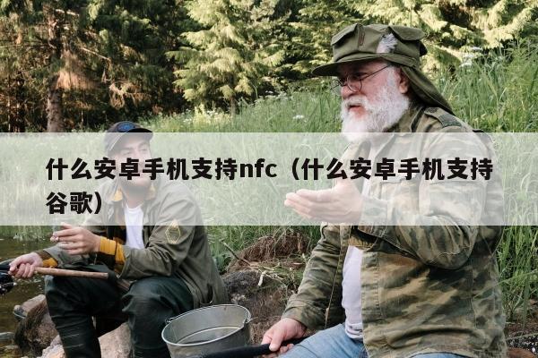 什么安卓手机支持nfc（什么安卓手机支持谷歌）