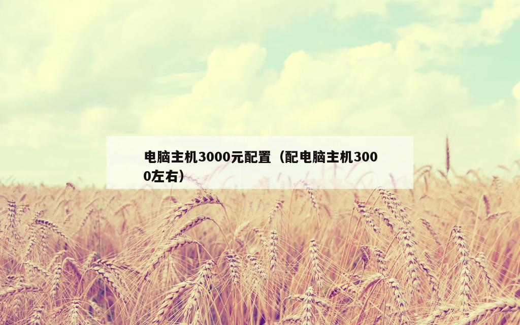 电脑主机3000元配置（配电脑主机3000左右）