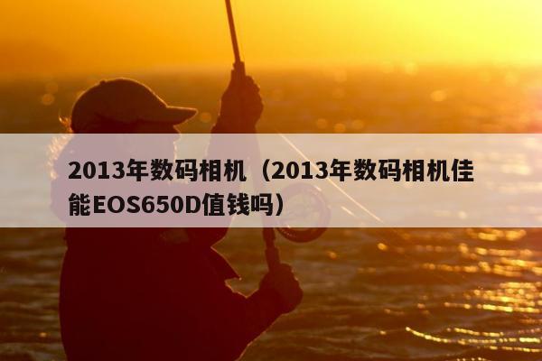 2013年数码相机（2013年数码相机佳能EOS650D值钱吗）