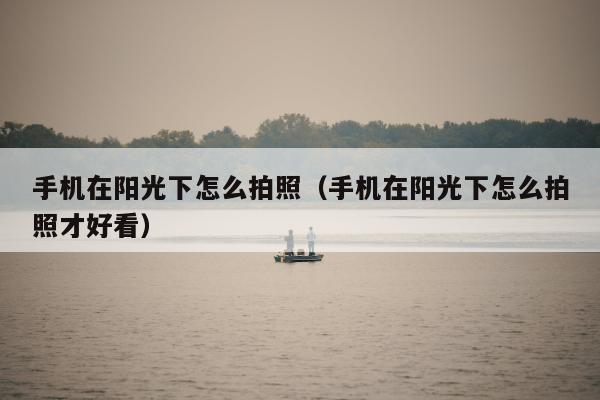 手机在阳光下怎么拍照（手机在阳光下怎么拍照才好看）