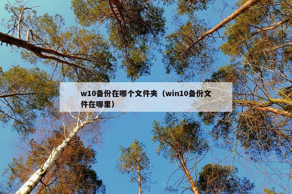 w10备份在哪个文件夹（win10备份文件在哪里）