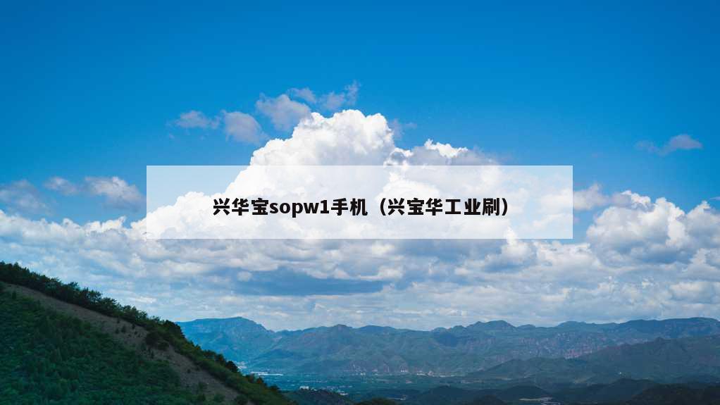 兴华宝sopw1手机（兴宝华工业刷）