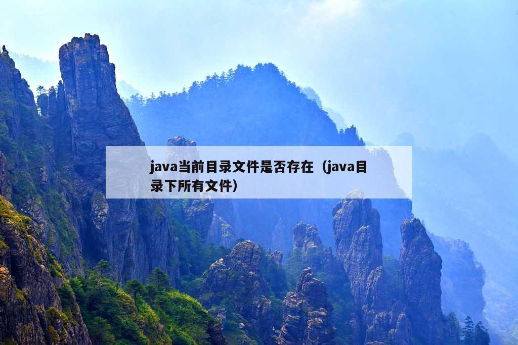 java当前目录文件是否存在（java目录下所有文件）