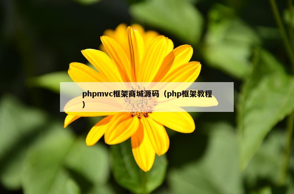 phpmvc框架商城源码（php框架教程）