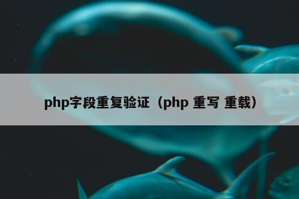 php字段重复验证（php 重写 重载）