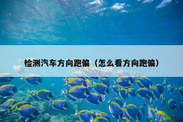 检测汽车方向跑偏（怎么看方向跑偏）