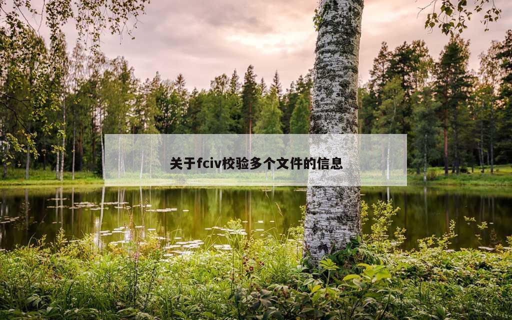 关于fciv校验多个文件的信息