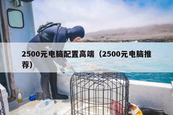 2500元电脑配置高端（2500元电脑推荐）