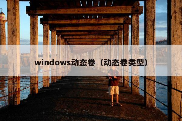 windows动态卷（动态卷类型）