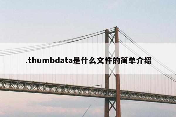 .thumbdata是什么文件的简单介绍