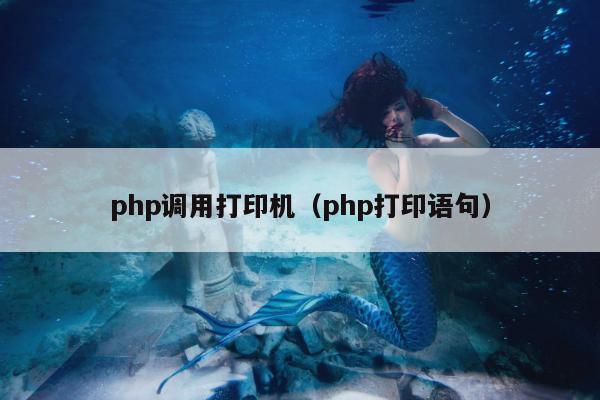 php调用打印机（php打印语句）