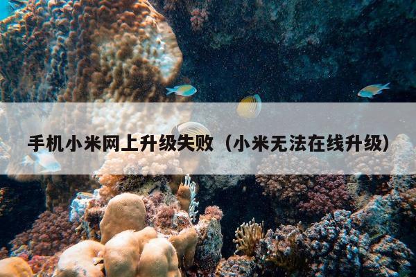 手机小米网上升级失败（小米无法在线升级）