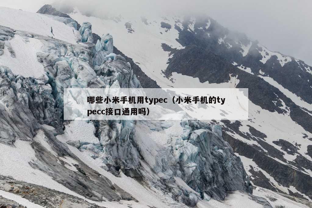 哪些小米手机用typec（小米手机的typecc接口通用吗）